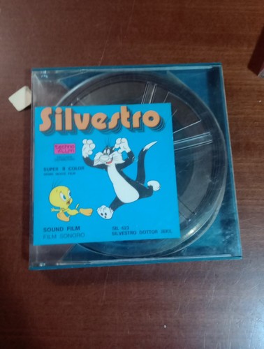 Gatto silvestro - gatto, "silvestro